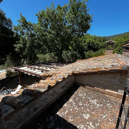 Disba Toscolano